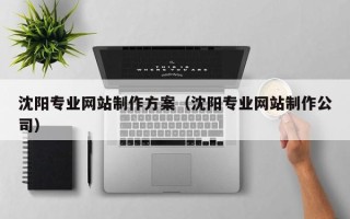 潍坊沈阳专业网站制作方案（沈阳专业网站制作公司）